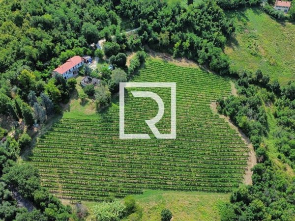 terreno agricolo in vendita a Bertinoro in zona Fratta Terme