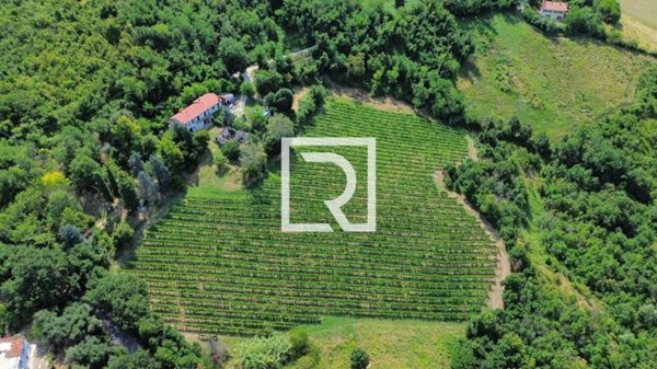terreno agricolo in vendita a Bertinoro in zona Fratta Terme