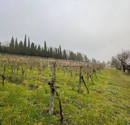 casa indipendente in vendita a Bertinoro
