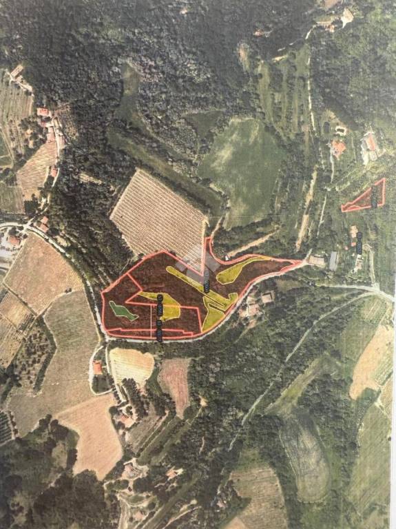 terreno agricolo in vendita a Bertinoro in zona Collinello
