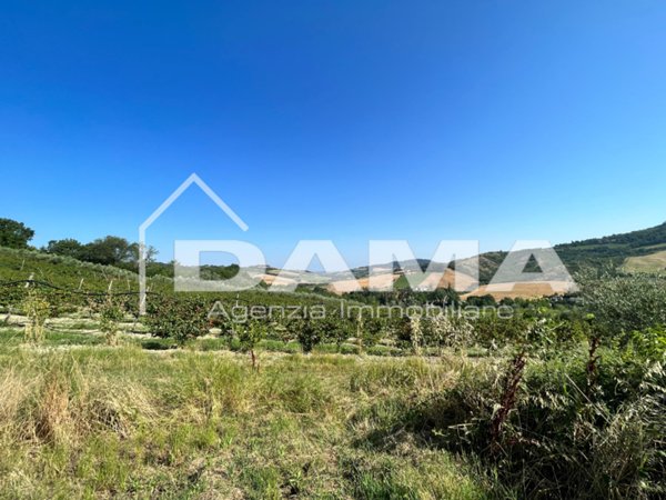 azienda agricola in vendita a Bertinoro in zona Fratta Terme