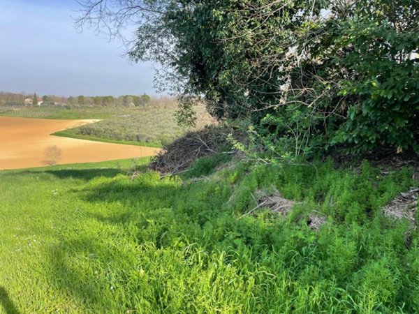 casa indipendente in vendita a Bertinoro in zona Panighina