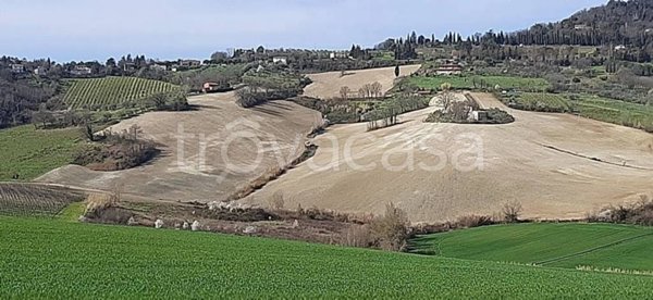 casa indipendente in vendita a Bertinoro in zona Panighina