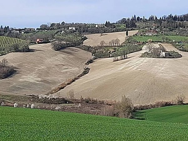 casale in vendita a Bertinoro