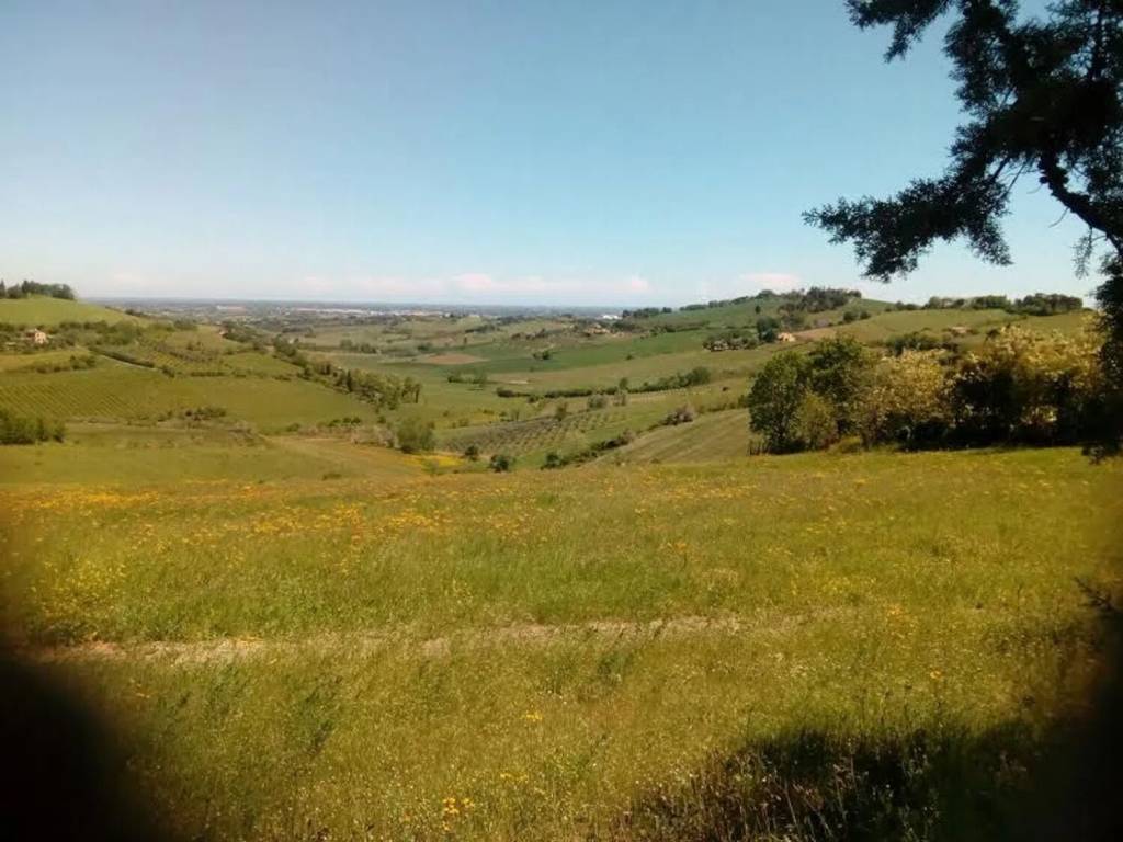 terreno agricolo in vendita a Bertinoro