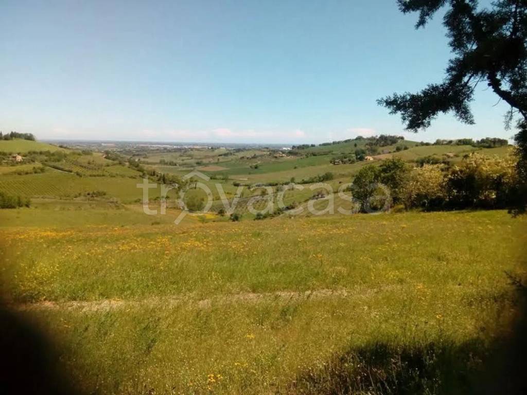 ufficio in vendita a Bertinoro