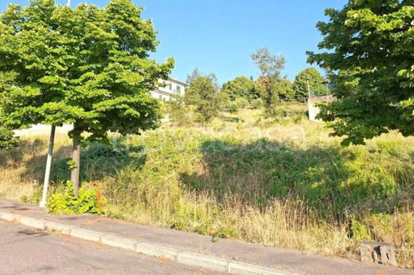 terreno agricolo in vendita a Bertinoro