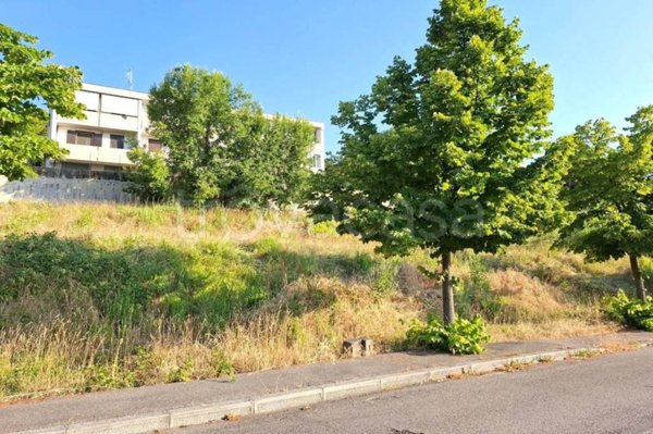 terreno agricolo in vendita a Bertinoro