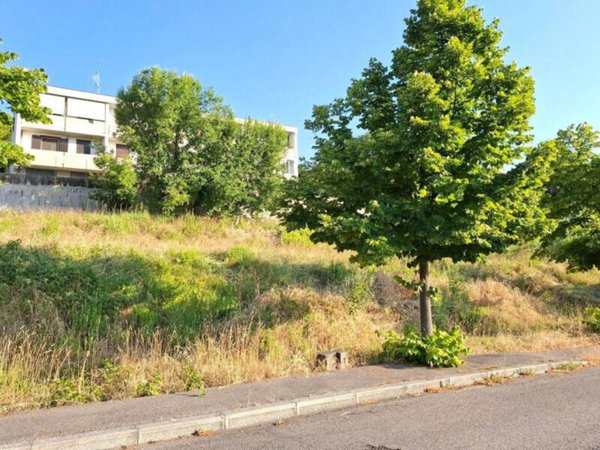 terreno agricolo in vendita a Bertinoro