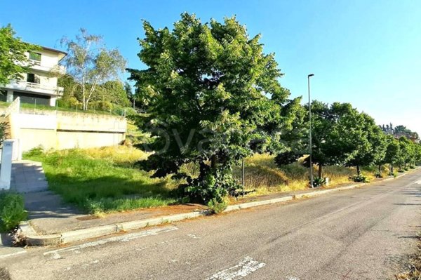 terreno agricolo in vendita a Bertinoro