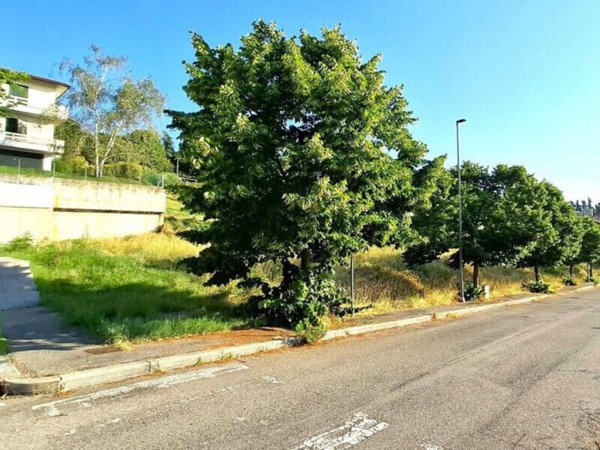 terreno agricolo in vendita a Bertinoro