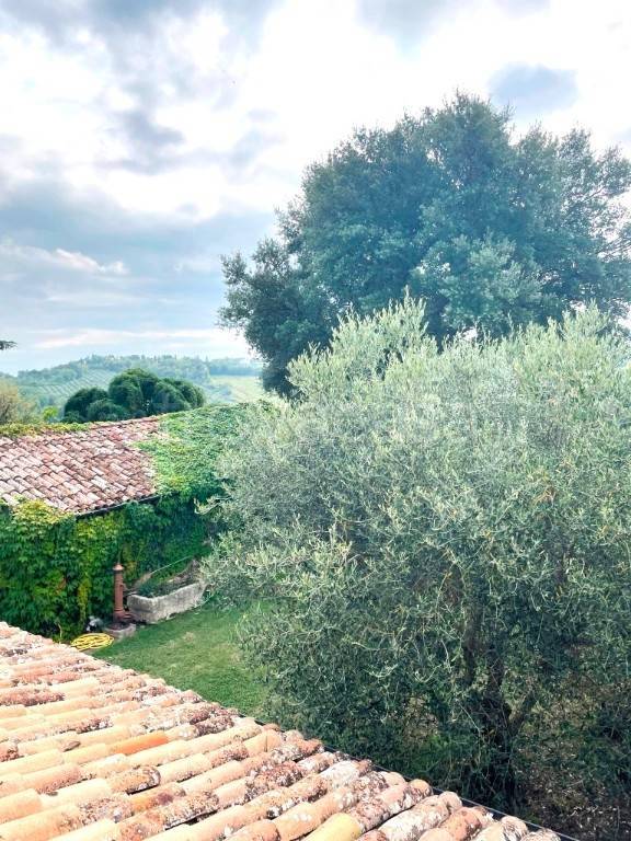 casa indipendente in vendita a Bertinoro in zona Polenta