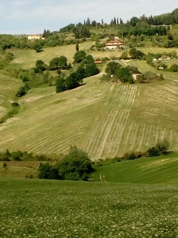 casa indipendente in vendita a Bertinoro in zona Panighina