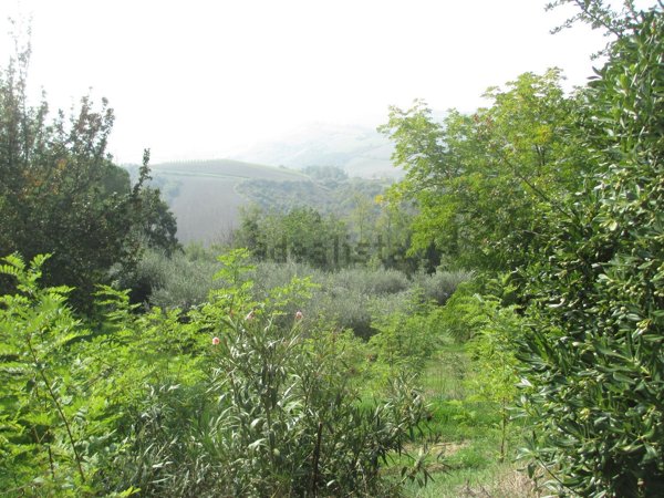 casa indipendente in vendita a Bertinoro