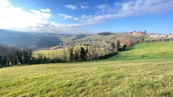 terreno agricolo in vendita a Bertinoro in zona Collinello