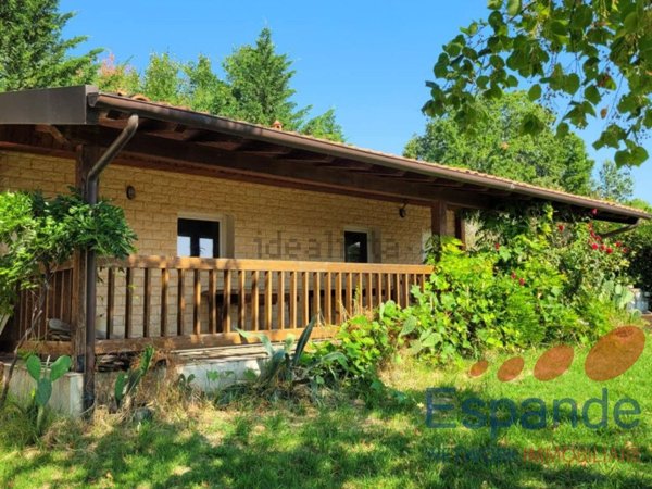 terreno agricolo in vendita a Bertinoro