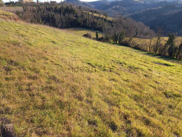 terreno agricolo in vendita a Bertinoro