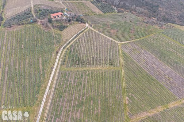 azienda agricola in vendita a Bertinoro in zona Fratta Terme