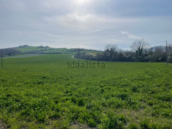casa indipendente in vendita a Bertinoro in zona Fratta Terme