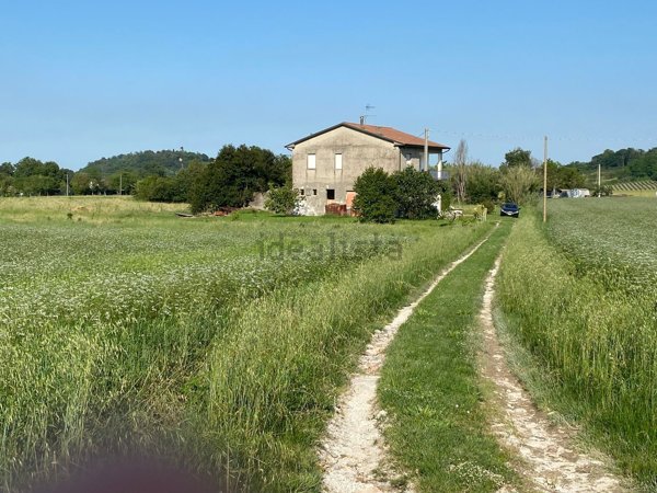 casa indipendente in vendita a Bertinoro