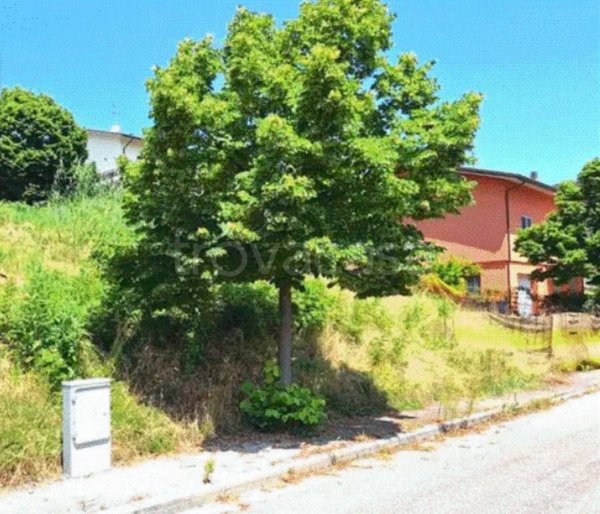 terreno agricolo in vendita a Bertinoro