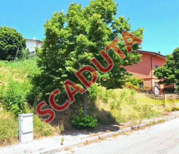 terreno agricolo in vendita a Bertinoro