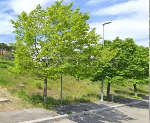 terreno edificabile in vendita a Bertinoro