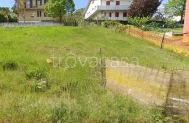 terreno agricolo in vendita a Bertinoro