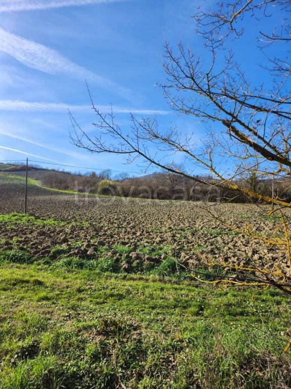 ufficio in vendita a Bertinoro in zona Fratta Terme