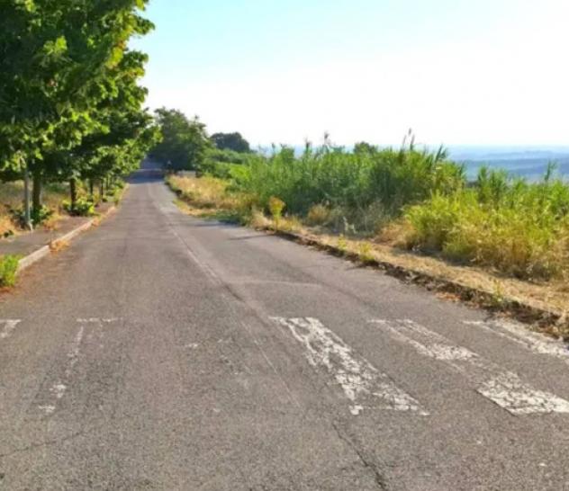 terreno agricolo in vendita a Bertinoro