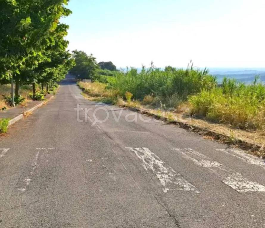 terreno agricolo in vendita a Bertinoro