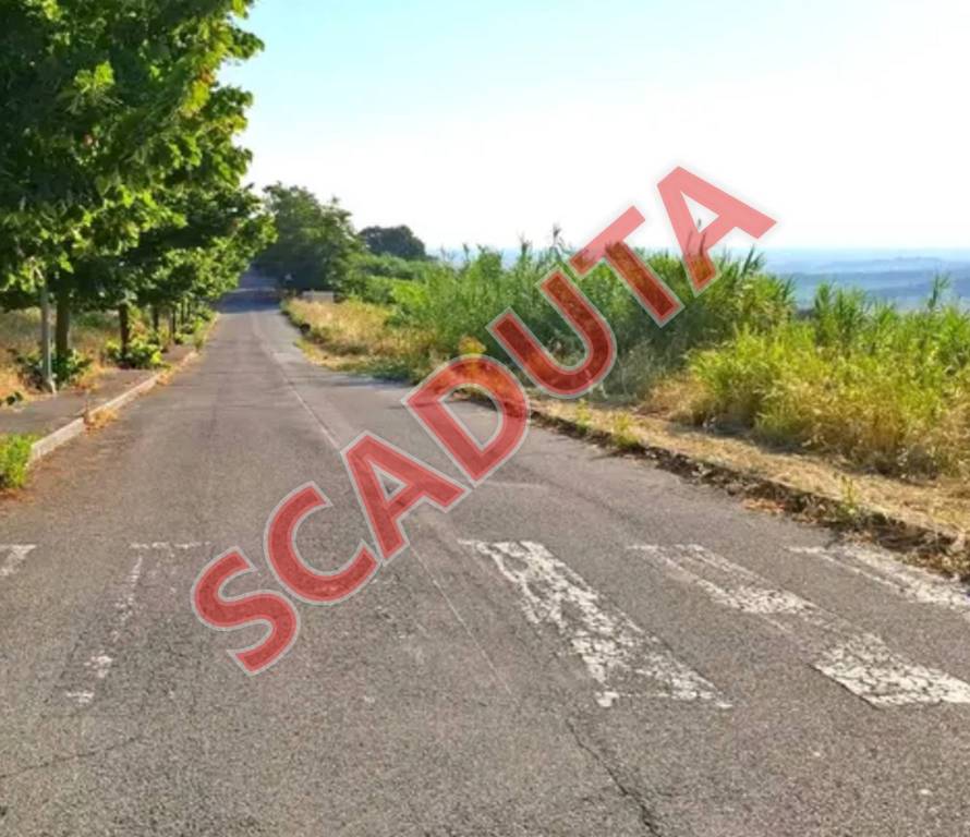 terreno agricolo in vendita a Bertinoro