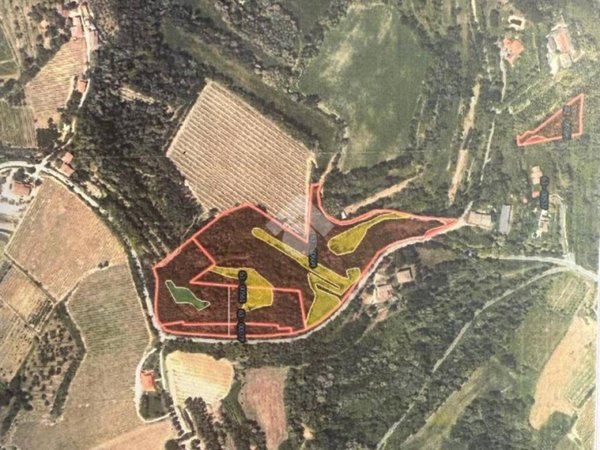 terreno agricolo in vendita a Bertinoro