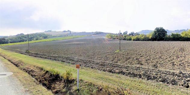 terreno agricolo in vendita a Bertinoro in zona Fratta Terme
