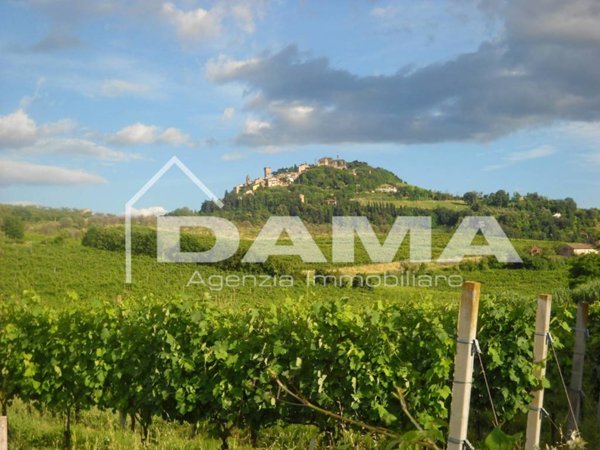 terreno agricolo in vendita a Bertinoro in zona Capocolle