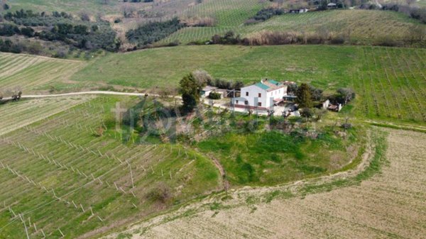 terreno agricolo in vendita a Bertinoro in zona Fratta Terme