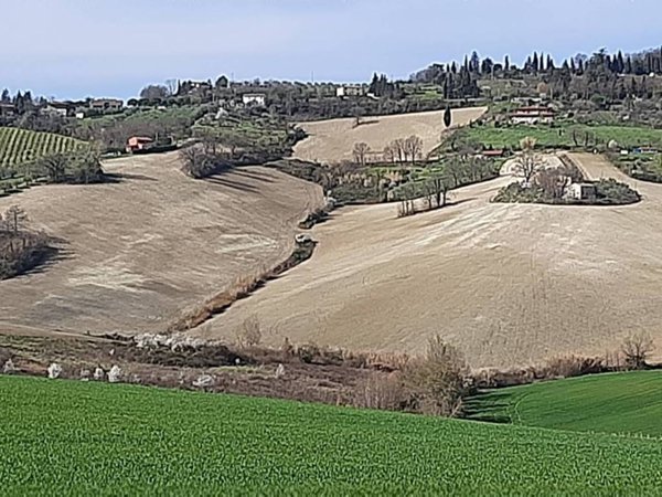 casa indipendente in vendita a Bertinoro