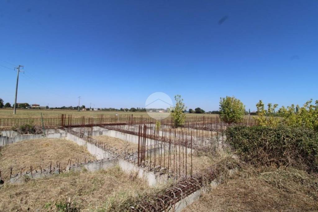 terreno agricolo in vendita a Bertinoro in zona Santa Maria Nuova Spallicci