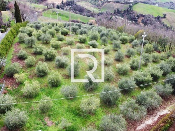 casa indipendente in vendita a Bertinoro in zona Polenta