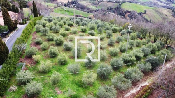 casa indipendente in vendita a Bertinoro in zona Polenta