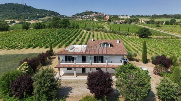 casa indipendente in vendita a Bertinoro in zona Polenta