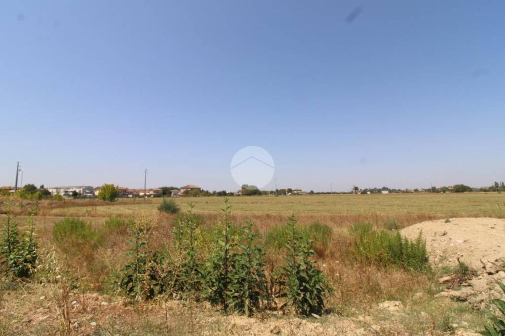 terreno agricolo in vendita a Bertinoro in zona Santa Maria Nuova Spallicci