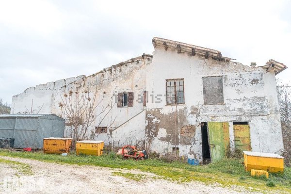casa indipendente in vendita a Bertinoro in zona Polenta