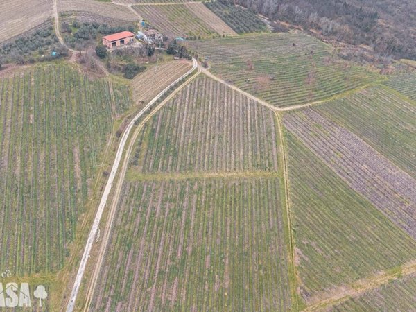casa indipendente in vendita a Bertinoro in zona Polenta