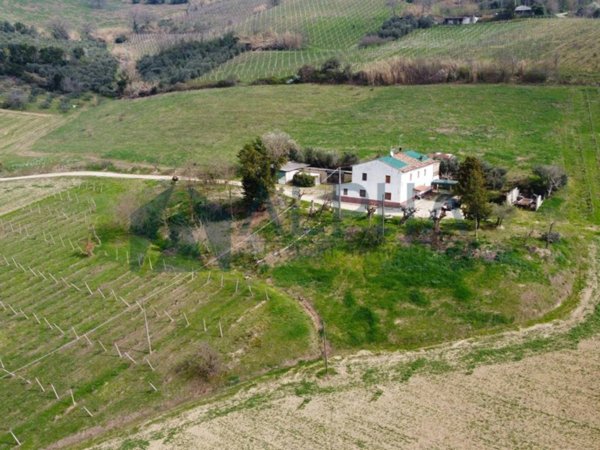 terreno agricolo in vendita a Bertinoro in zona Polenta