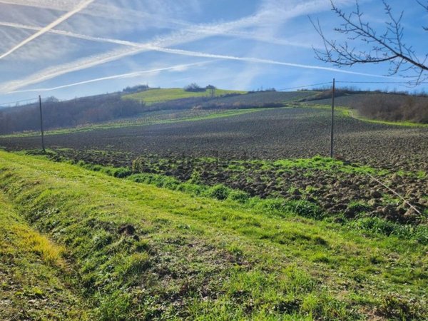ufficio in vendita a Bertinoro