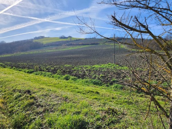 casa indipendente in vendita a Bertinoro