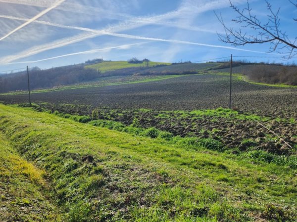 ufficio in vendita a Bertinoro