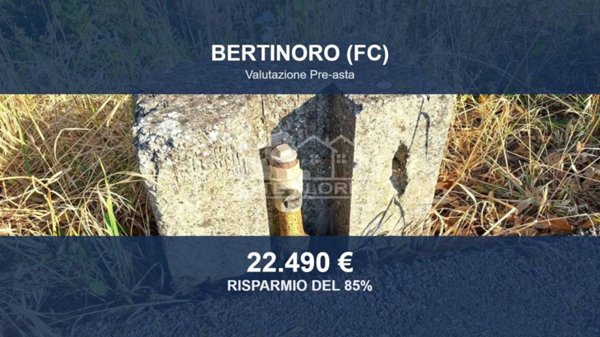 terreno in vendita a Bertinoro