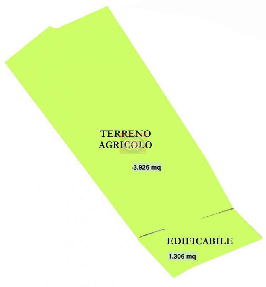 terreno agricolo in vendita a Bertinoro